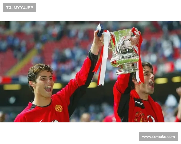 曼联范尼的辉煌岁月与传奇故事